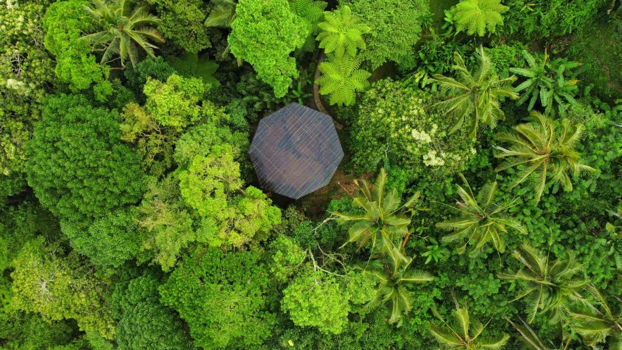 A round yoga pavilion seen from directly above the rainforest canopy