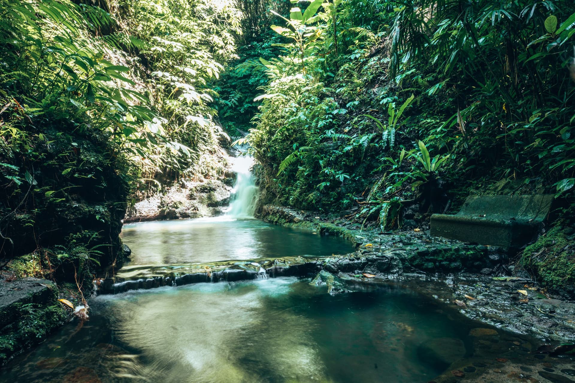 A river pool at the foot of a waterfall in a jungle gorge